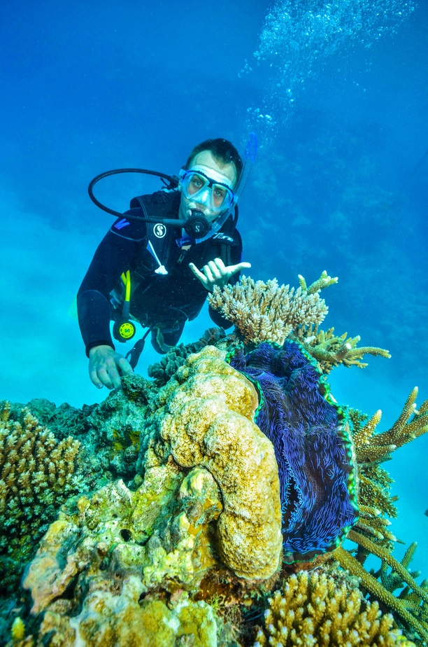 Australia, nurkowanie na Wielkiej Rafie Koralowej